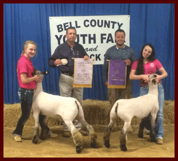 Bell County Youth Fair